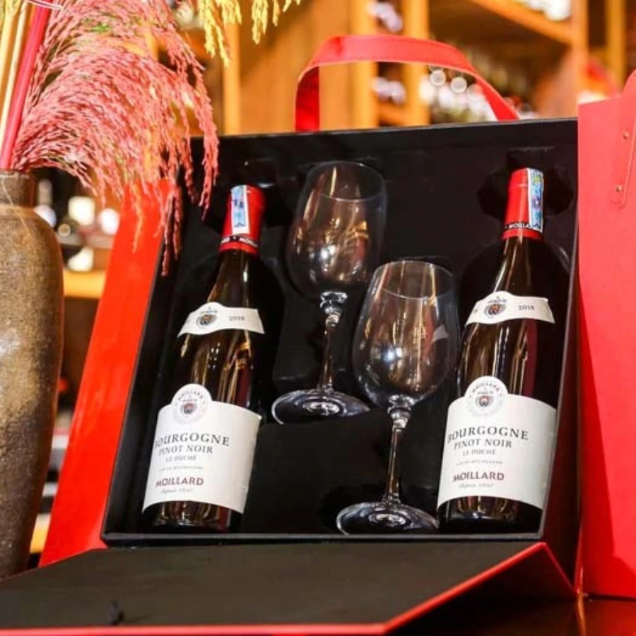 Vang Pháp Bourgogne Pinot Noir Moillard 13